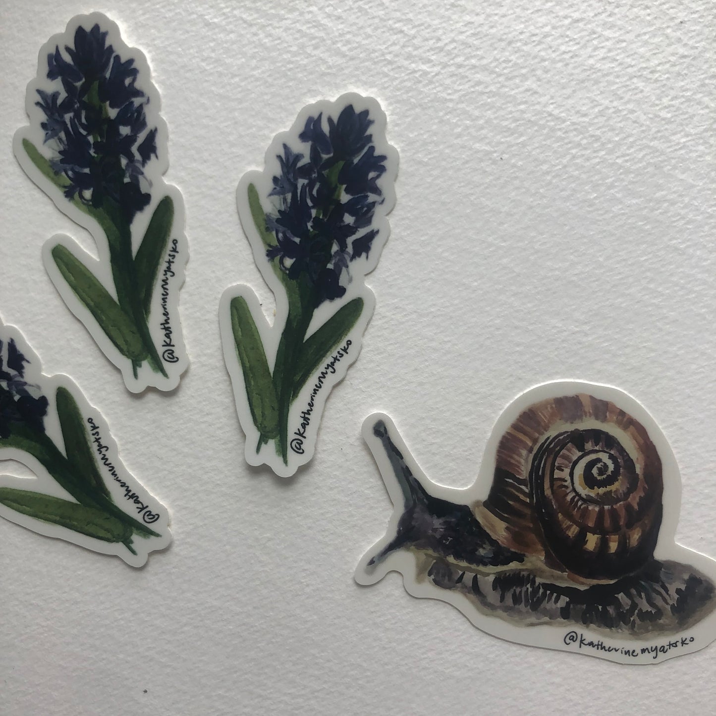Hyacinth 001