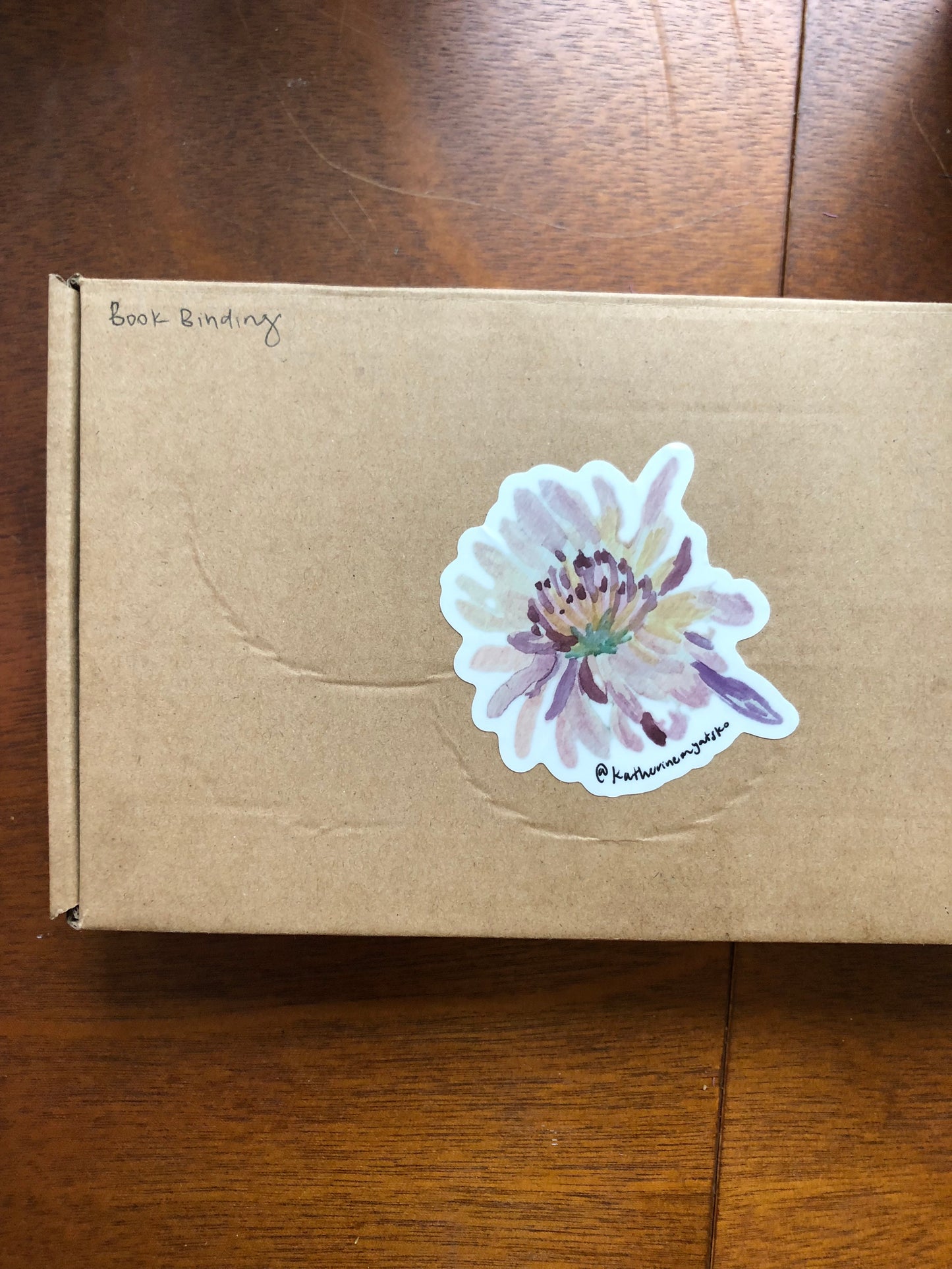 Chrysanthemum 001