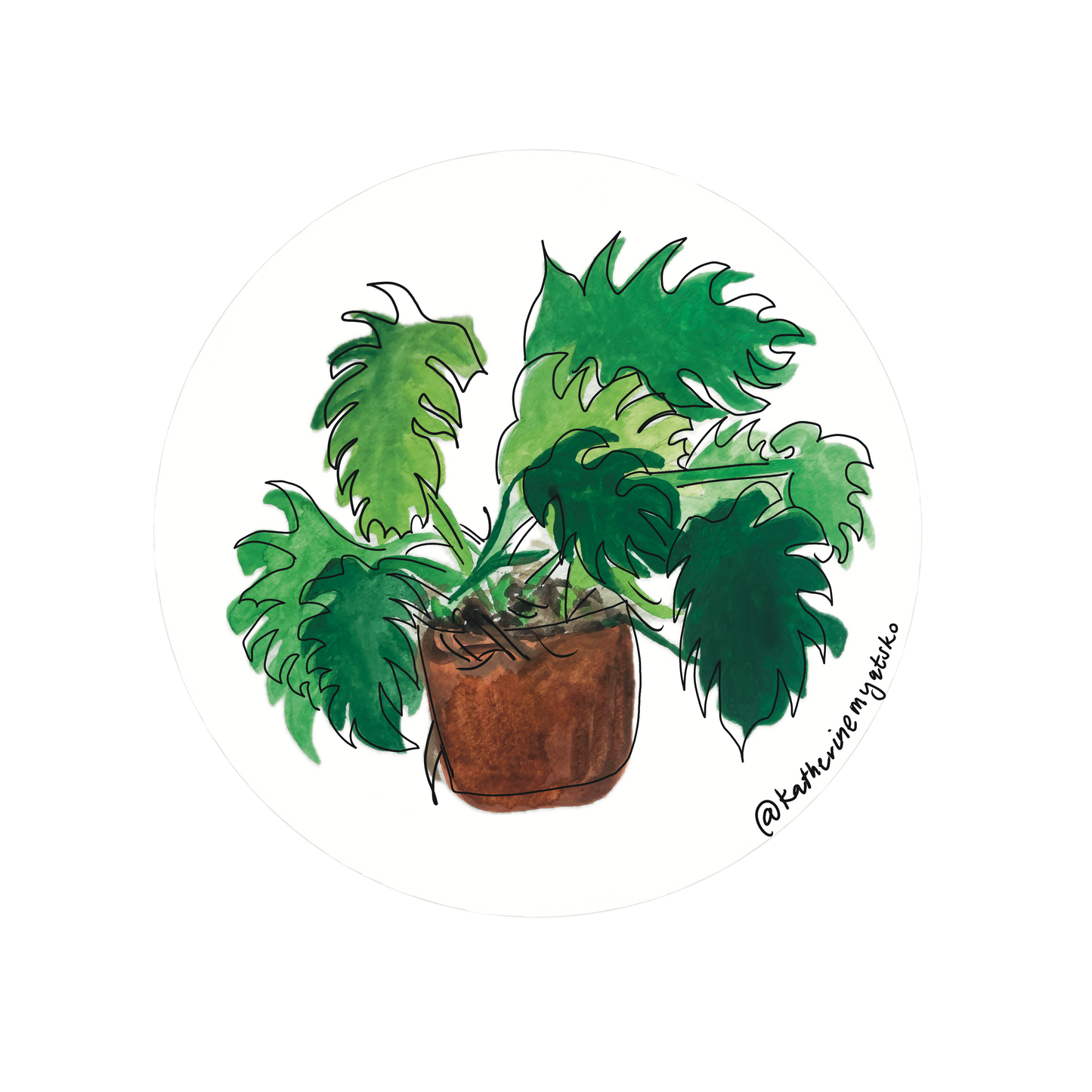 Monstera