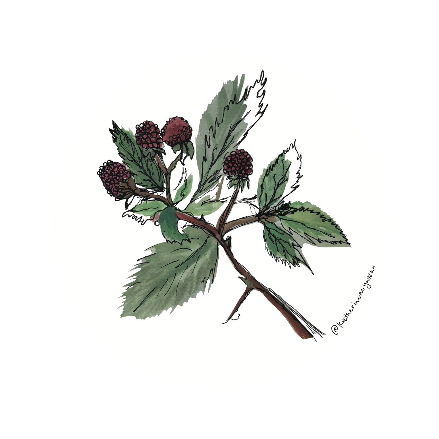 Raspberries