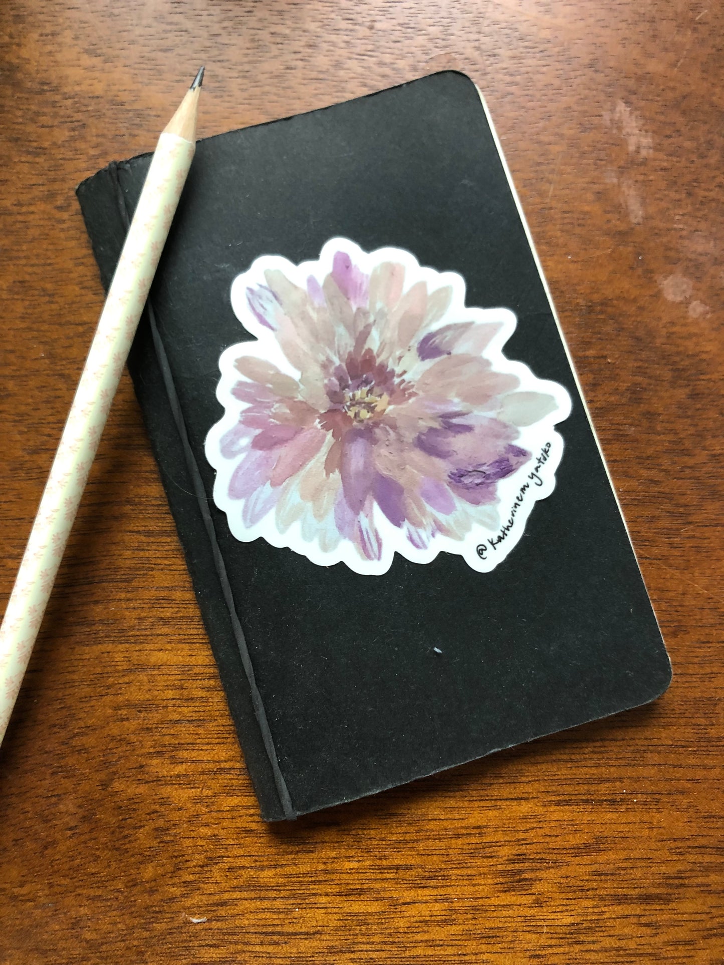Chrysanthemum 002