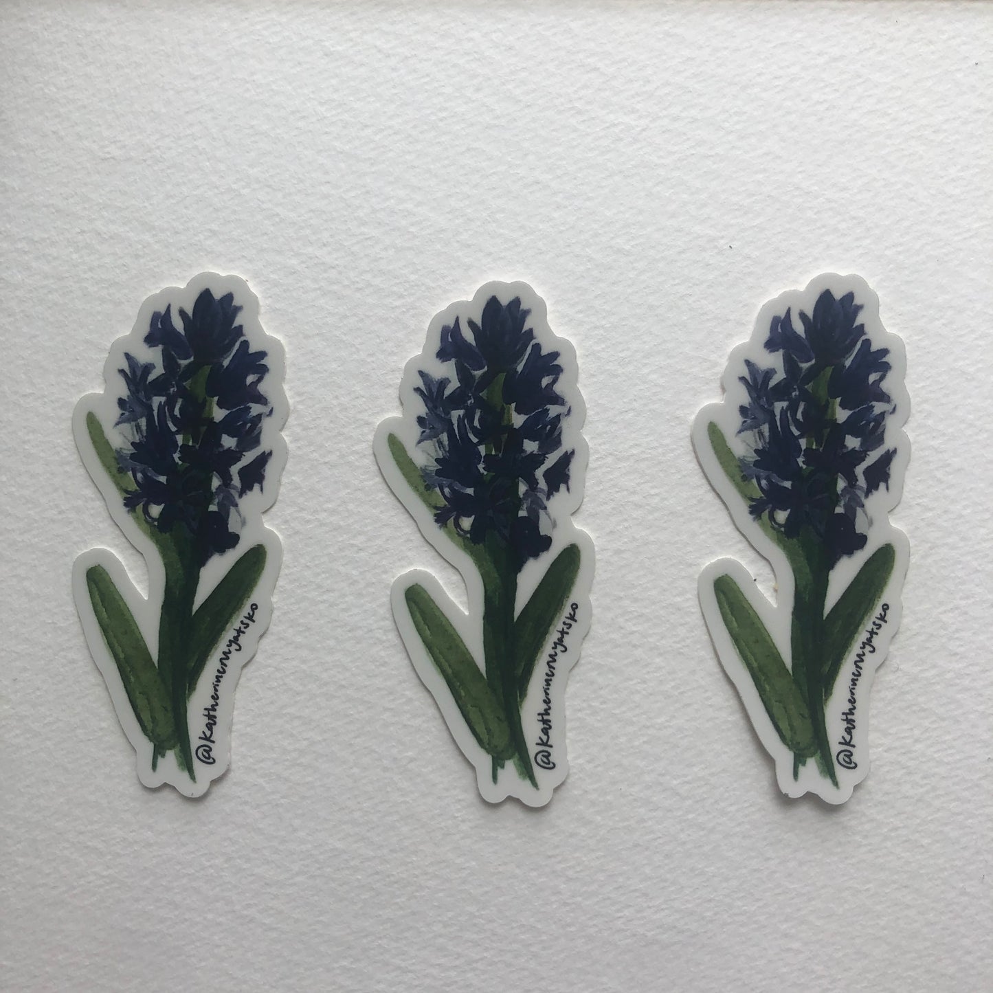 Hyacinth 001