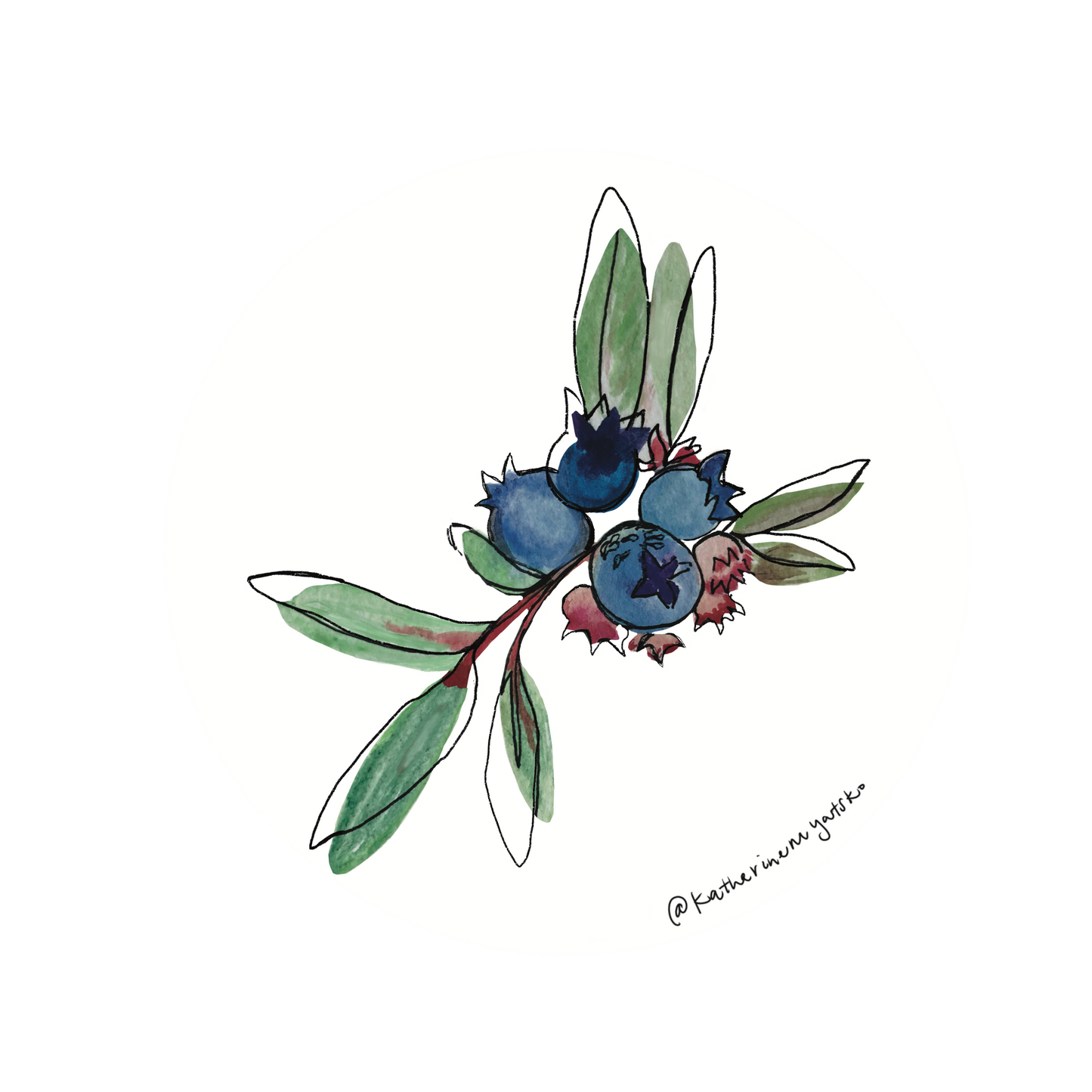 Blueberries