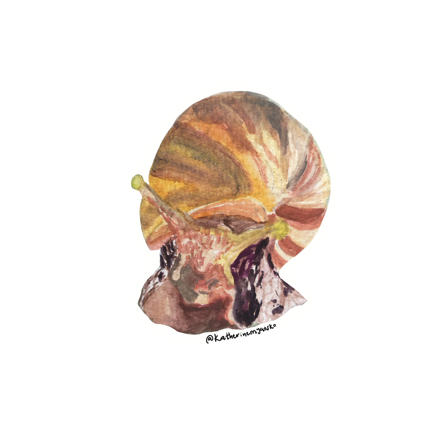 Bert