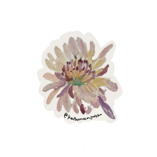 Chrysanthemum 001