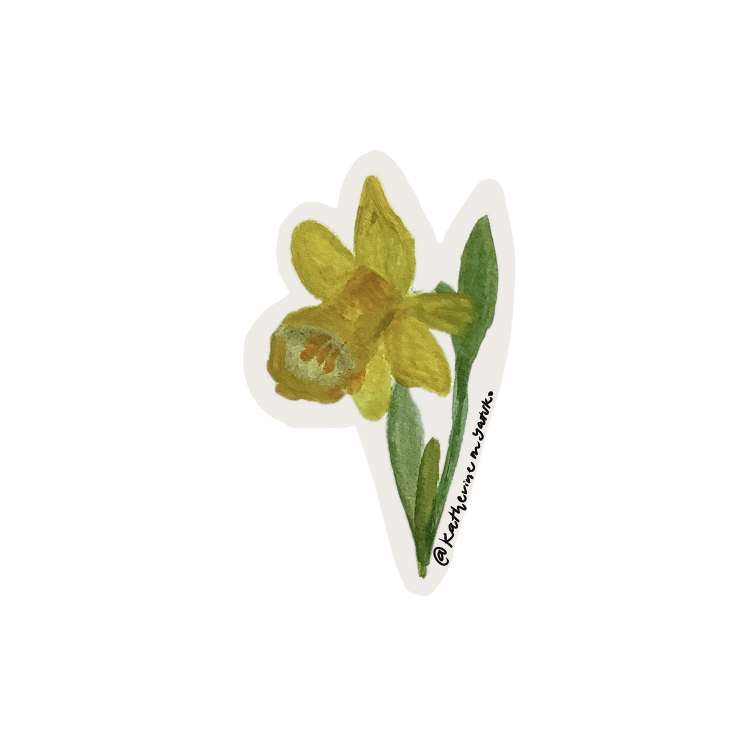 Daffodil 001