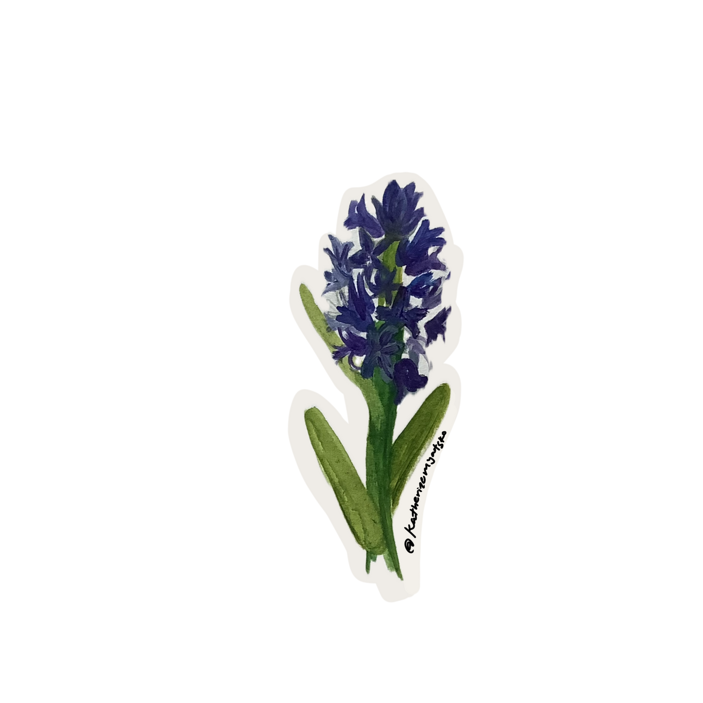 Hyacinth 001