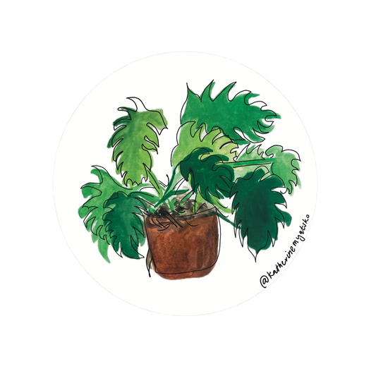 Monstera