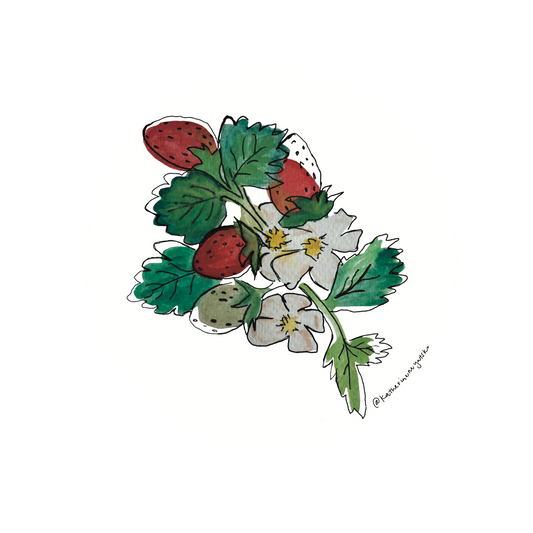 Strawberries